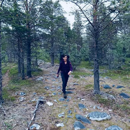 Stabbursdalen Arctic * Baevkopp