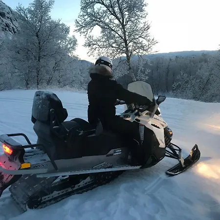 Stabbursdalen Arctic