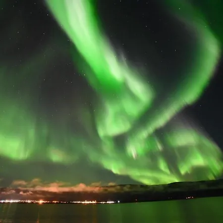 Stabbursdalen Arctic