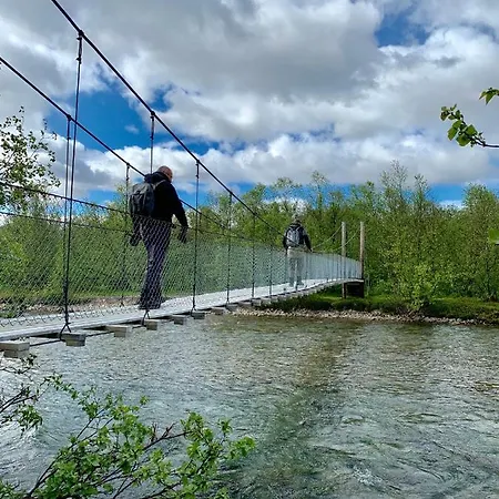 Stabbursdalen Arctic
